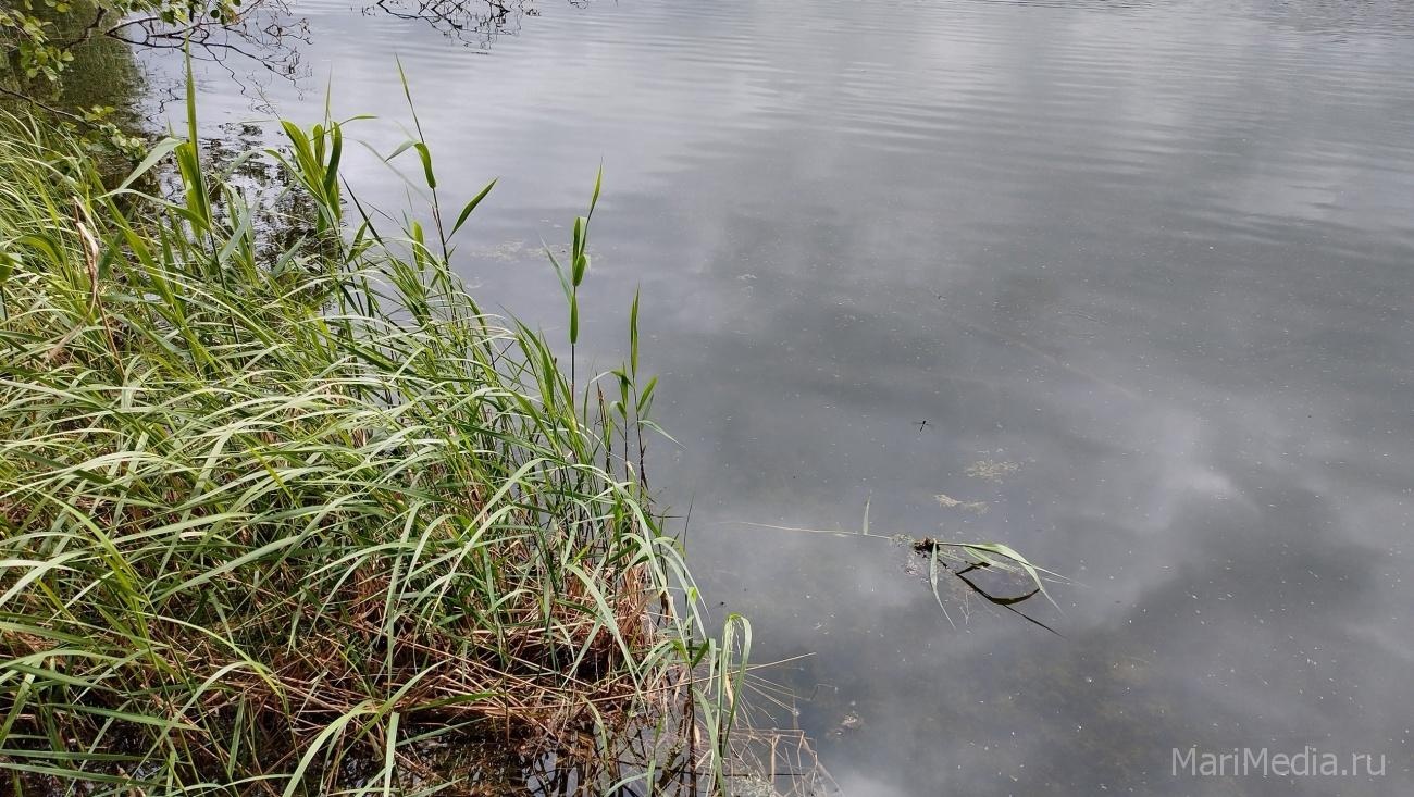 Жителей Марий Эл предупредили об опасностях, которые таятся в тёплой воде прудов и озёр