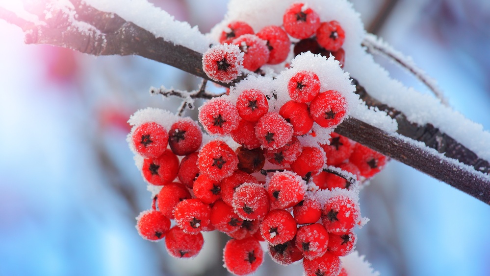 В Марий Эл идут морозы до -26 градусов