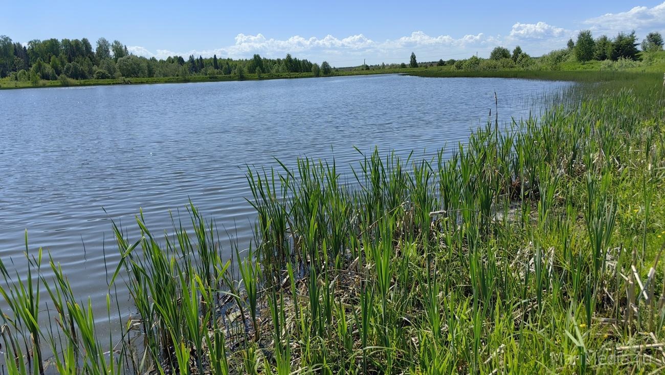 В Медведевском районе Марий Эл утонул 45-летний мужчина