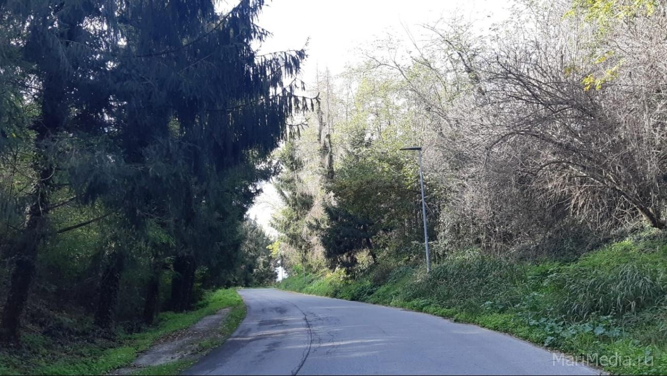 В Марий Эл до 01:00 будет перекрыт Сернурский тракт