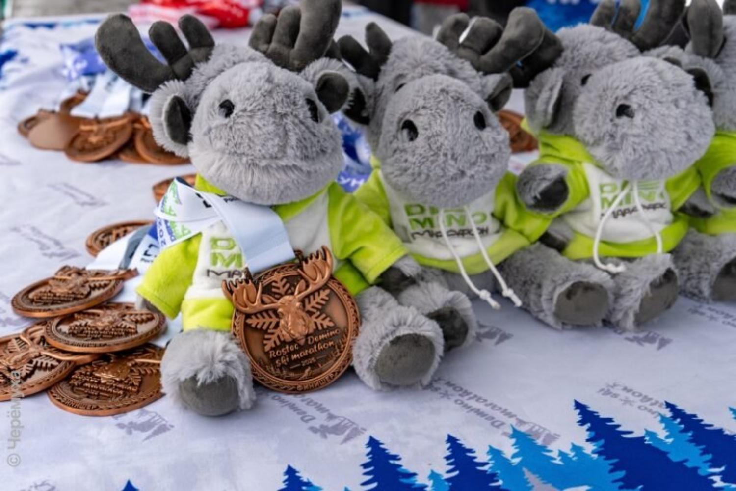 Судья из Марий Эл участвовал в лыжной гонке с бронзовым призёром Олимпийских игр в Ванкувере