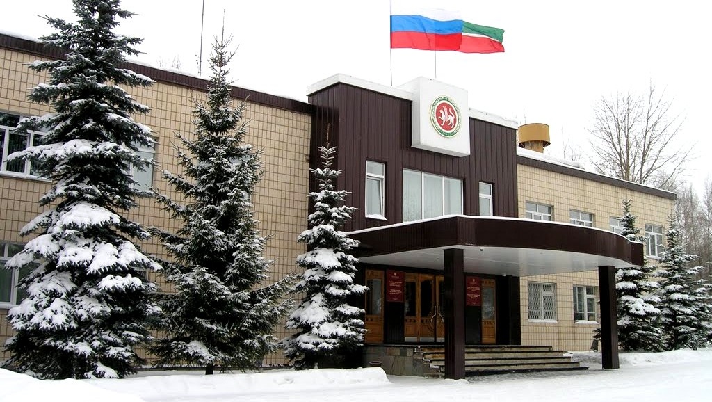 Впервые в РТ на отчётной сессии главы района прозвучит доклад на марийском языке