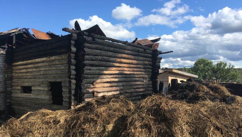 В Моркинском районе погибли куры и сгорел дом