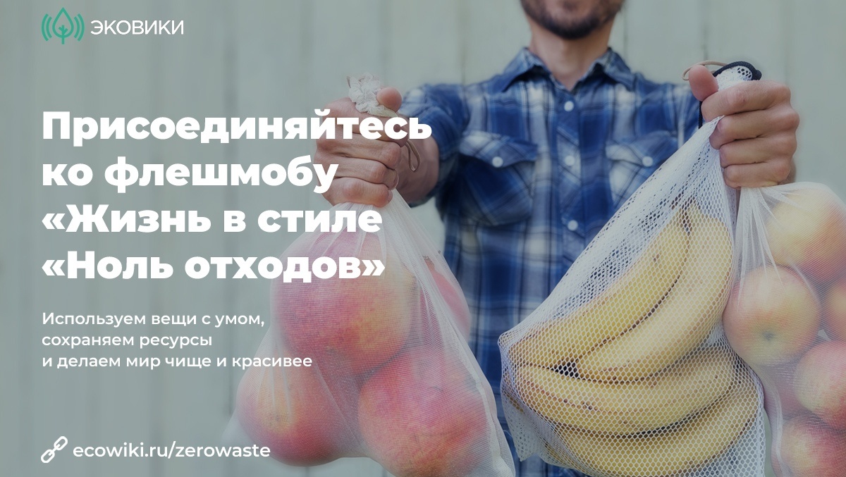 Экоосознанным жителям Марий Эл предложили сократить отходы