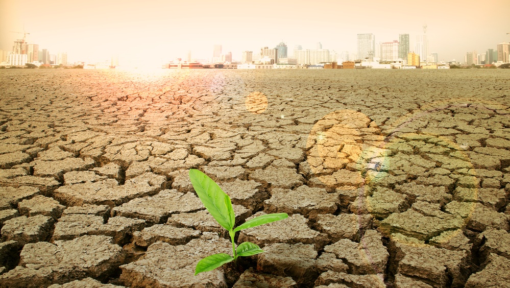 Центральную Россию ждёт засуха в июле