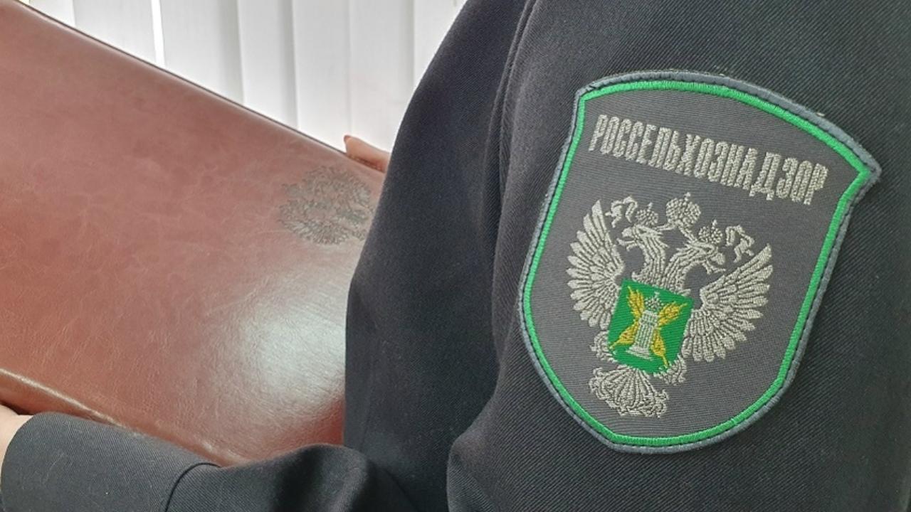 Россельхознадзор сообщил о реорганизации территориального управления