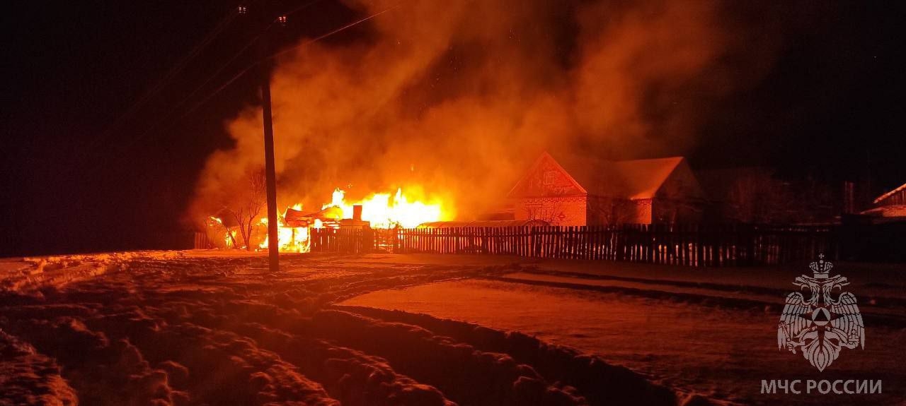 В Мари-Туреке при пожаре сгорел домашний скот