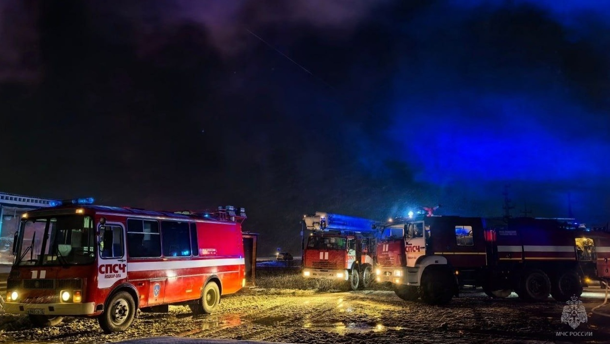 За неделю на пожарах в Марий Эл один человек погиб, один получил травмы