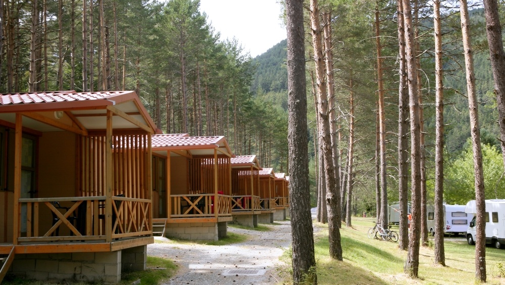 Вокруг стационарных загородных лагерей в Марий Эл разложат отравленные приманки