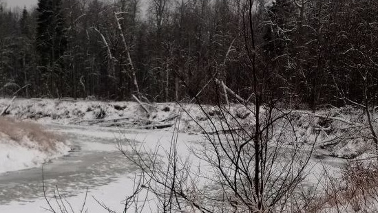Уникальное природное явление: в Марий Эл впервые замёрзла река Илеть