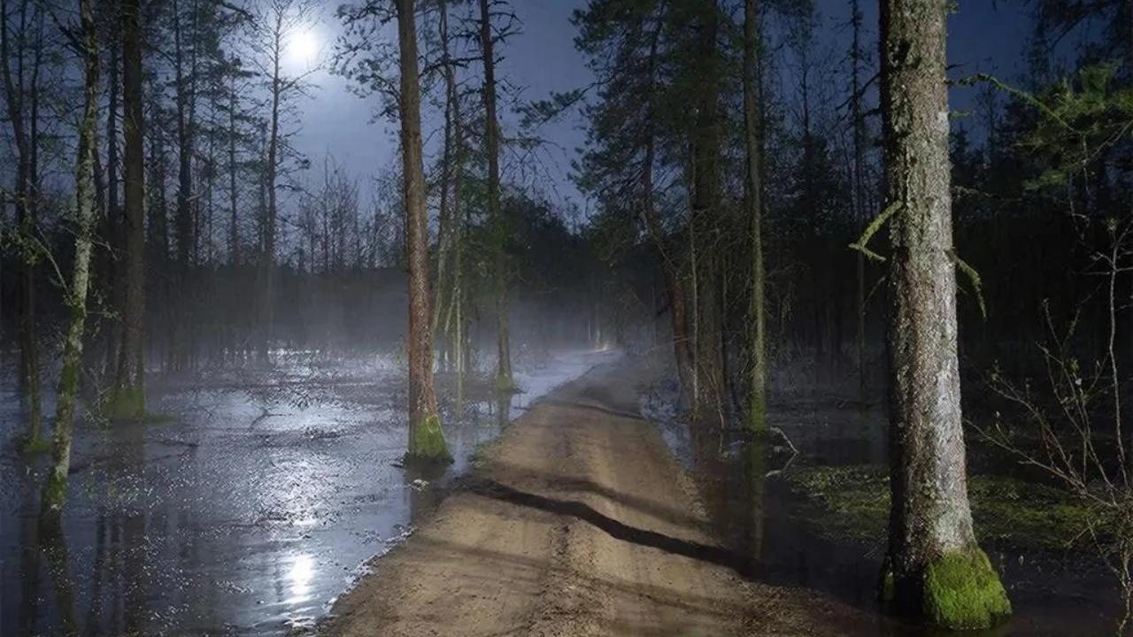 В Марий Эл в поисках людей были задействованы две поисковые группы МАСС