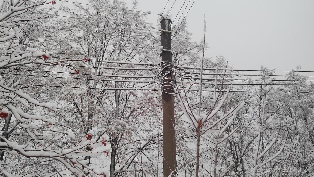 В двух районах Марий Эл произошло аварийное отключение электроснабжения