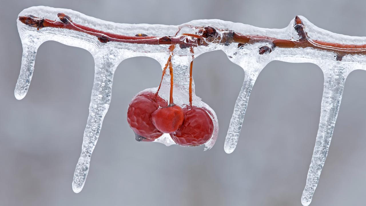 В Марий Эл в выходные дни столбики термометров поднимутся до +4ºС