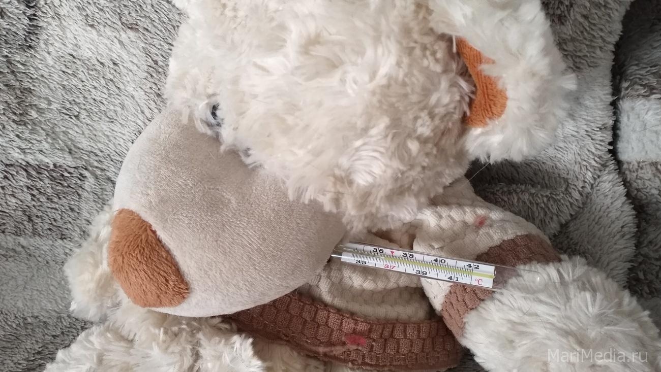 В Марий Эл отмечен рост числа острых респираторных вирусных инфекций