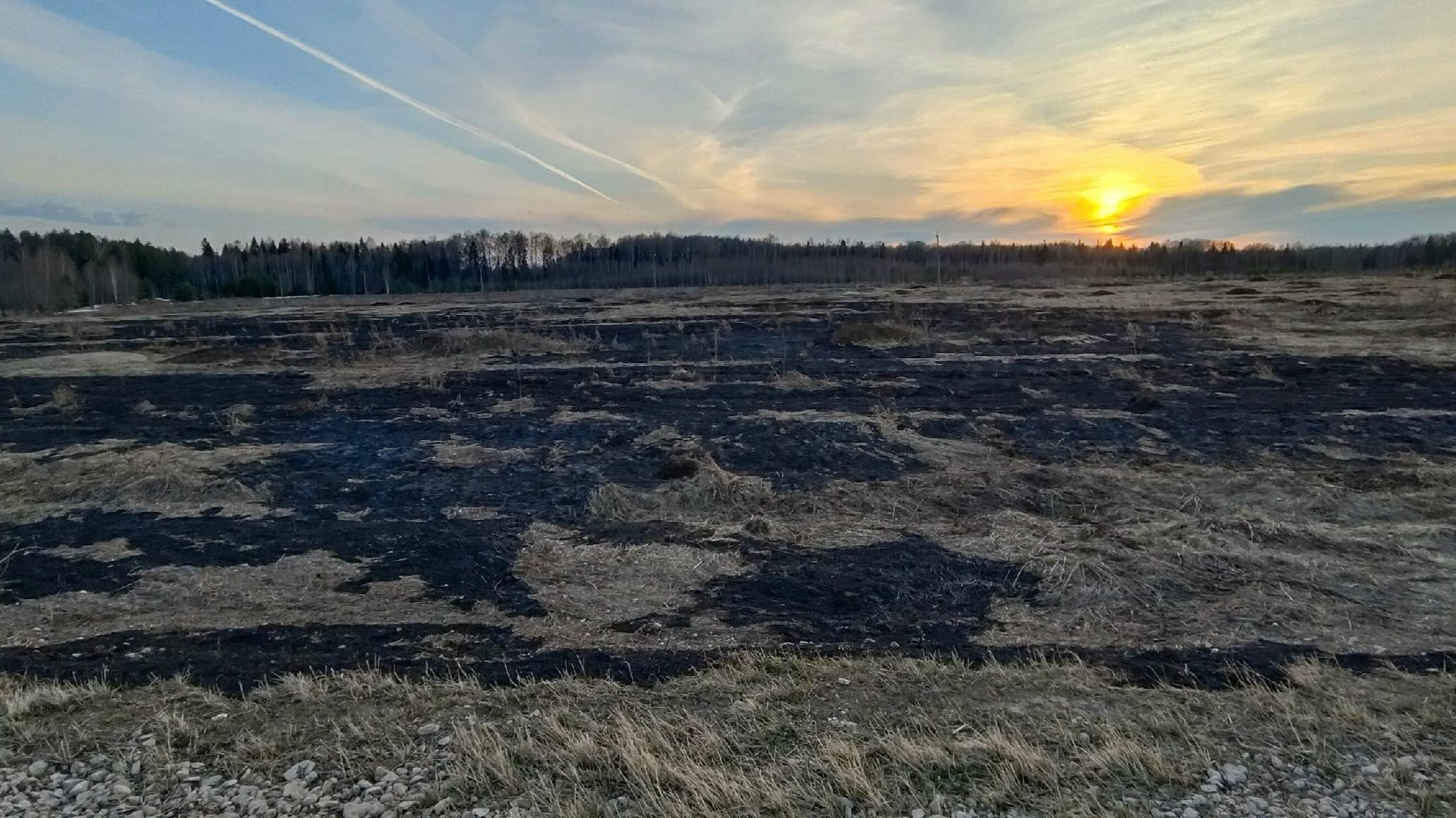 В Марий Эл открыт сезон пала сухой травы 