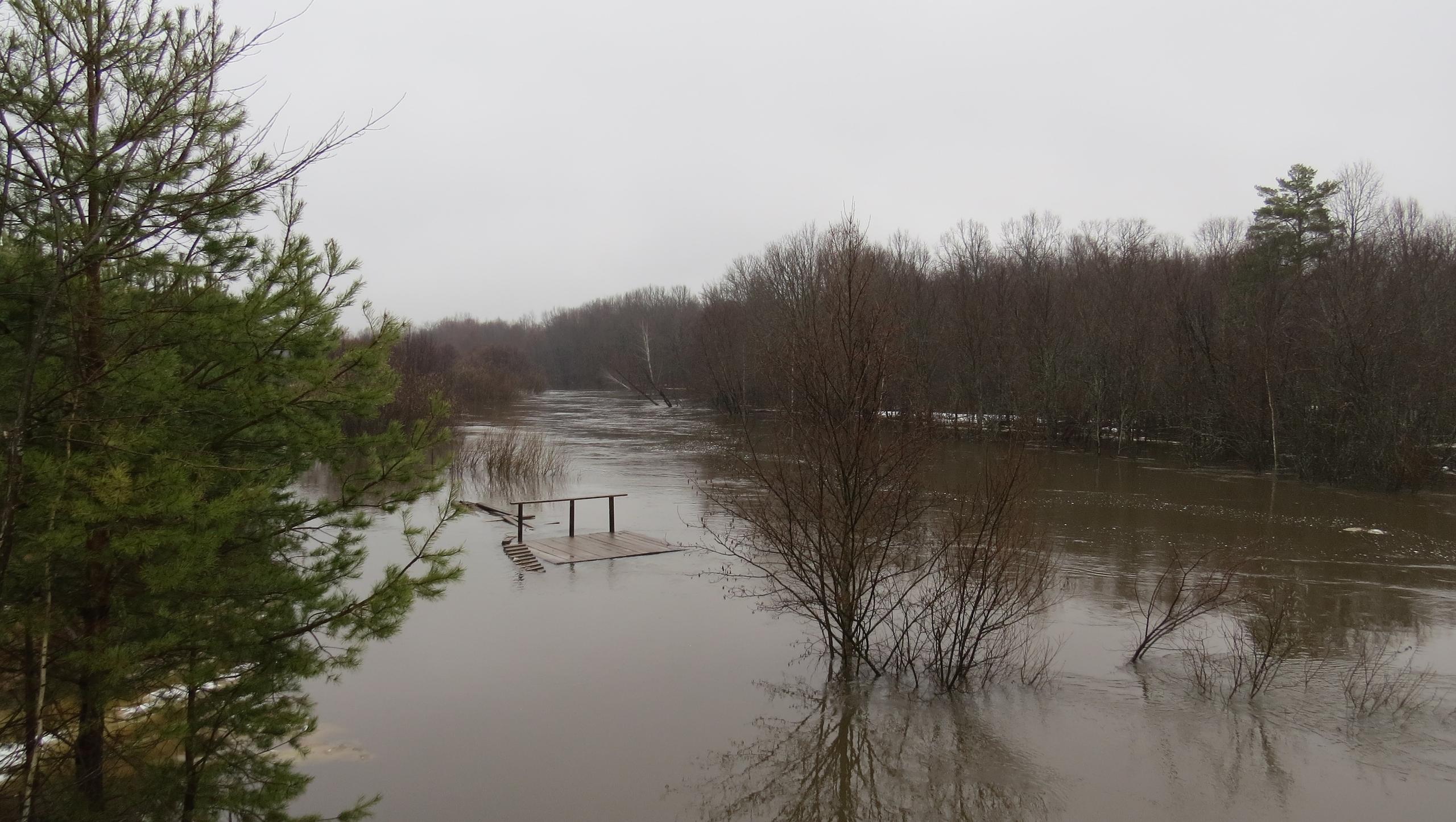 В Марий Эл за сутки уровень воды в реке Большая Кокшага поднялся на метр