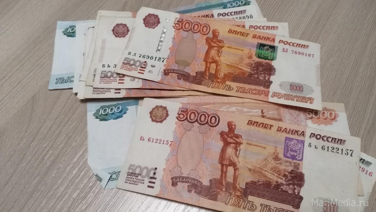 В Марий Эл задолженность по зарплате за месяц увеличилась в 1,5 раза