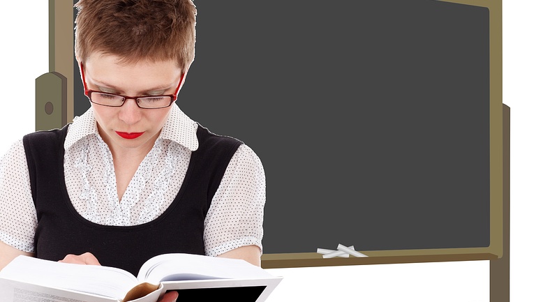 В СФ хотят создать единую систему оплаты учителей