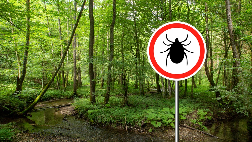 Как уберечься от клещей на природе