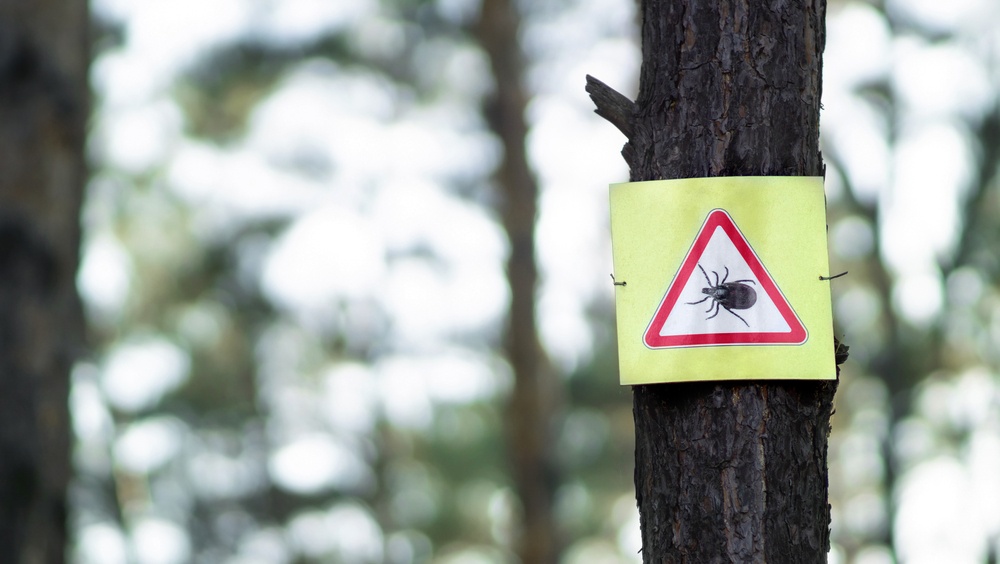 В Марий Эл клещи нападают в лесах, в парках, на кладбищах