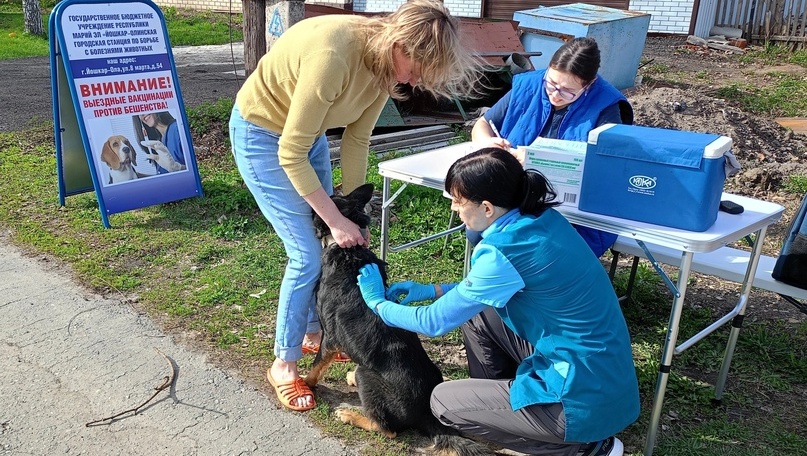 В деревне Игнатьево вакцинировали от бешенства семь домашних питомцев