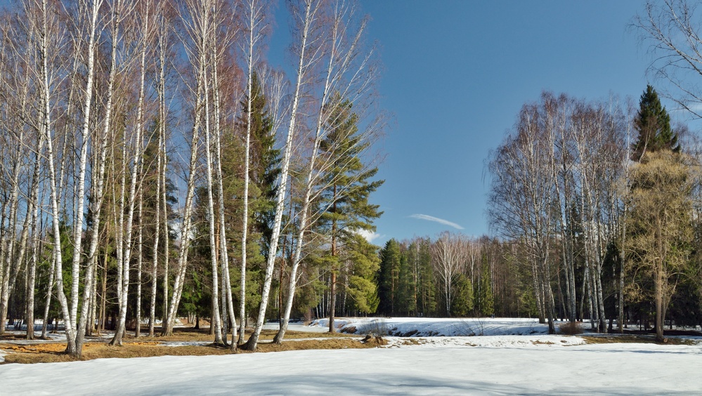 В Марий Эл началось активное снеготаяние