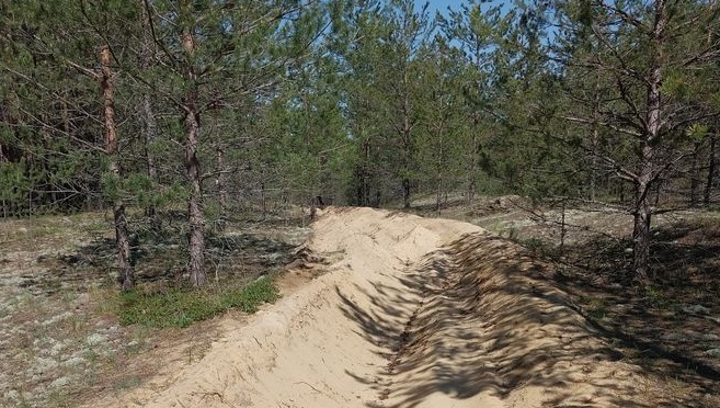В Марий Эл проводят противопожарное обустройство лесов
