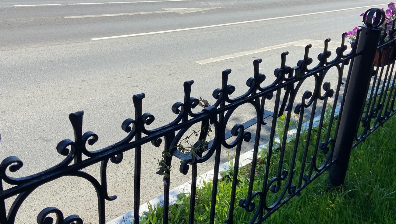 Возле здания мэрии Йошкар-Олы утащили ящик с петуниями