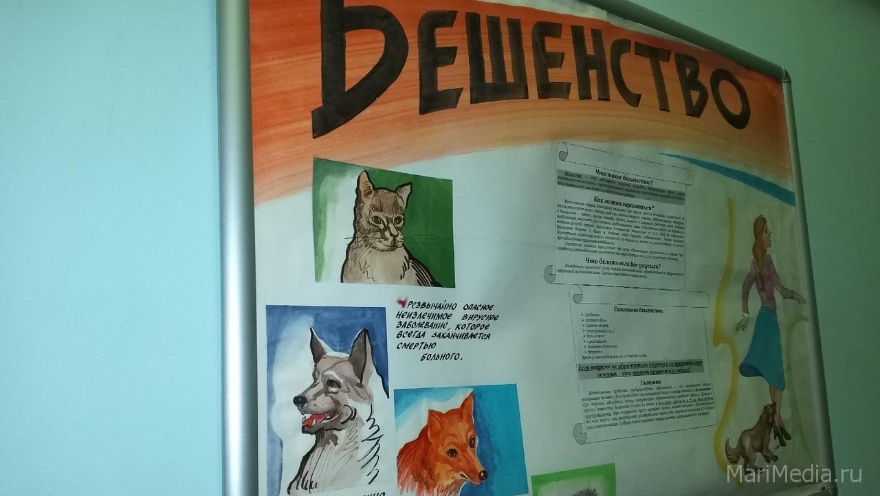 В Марий Эл зарегистрировано 8 случаев бешенства среди животных