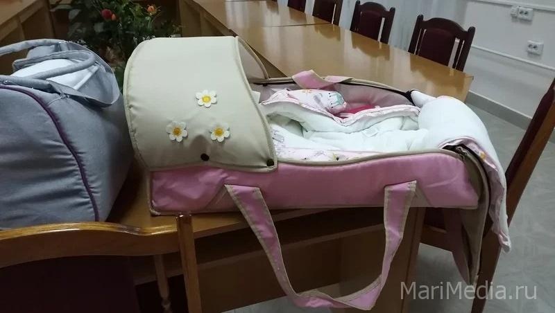 В Марий Эл 213 семей получили региональный материнский капитал