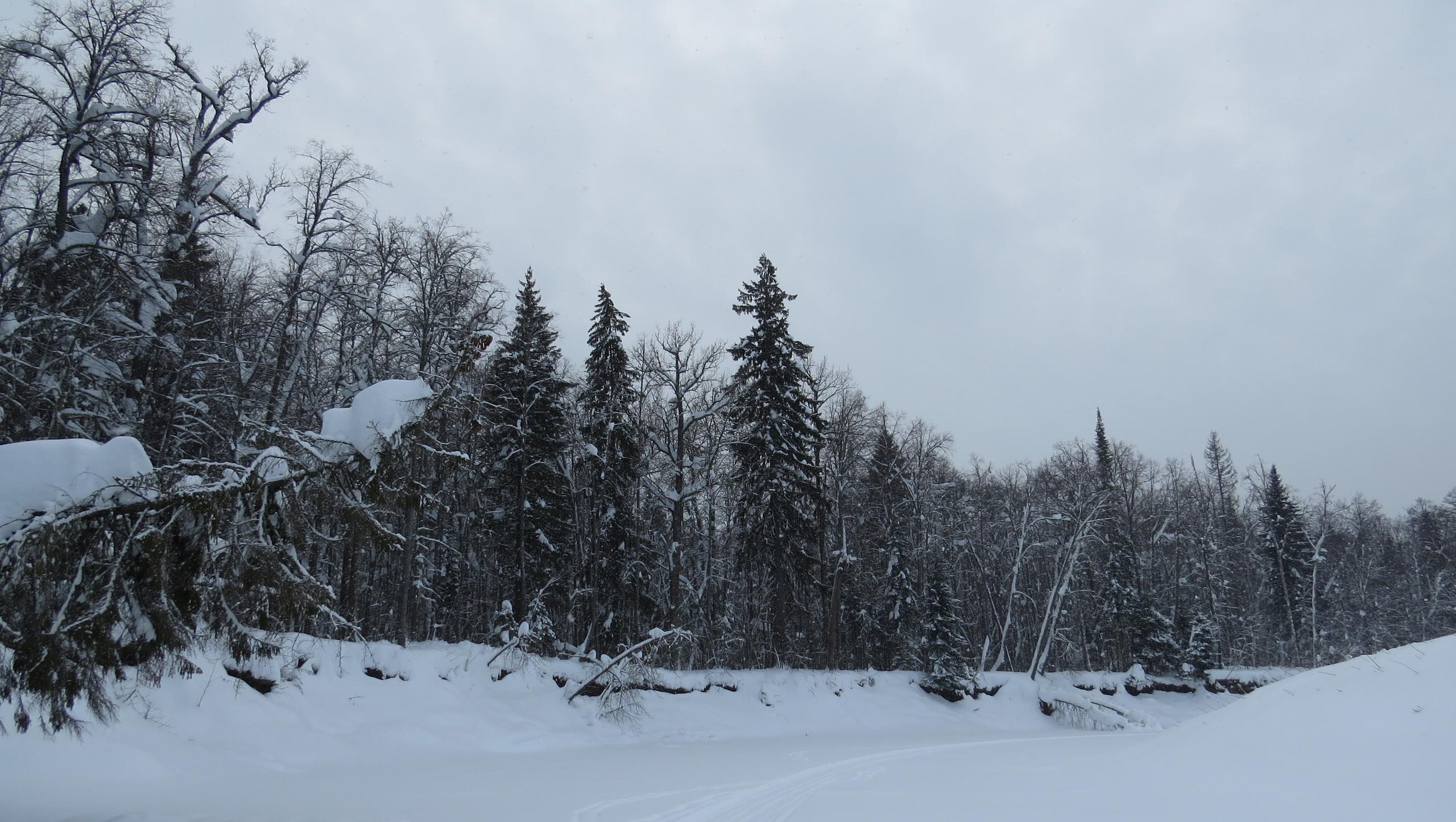 Марийский заповедник празднует свой 33 день рождения