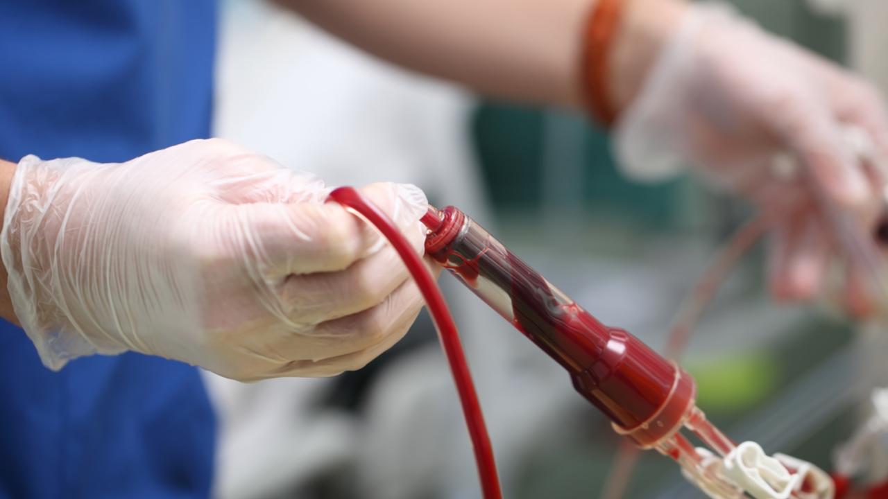 В Марий Эл срочно требуется кровь трёх групп 