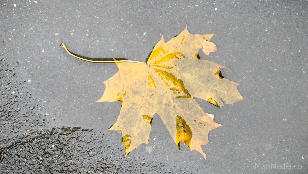В Марий Эл ночью столбики термометров опустятся до нулевой отметки