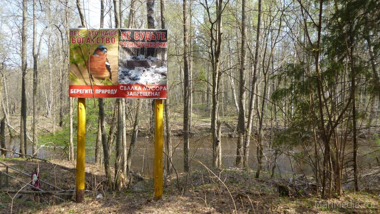 В Марий Эл проходит конкурс аншлагов «Берегите лес!»