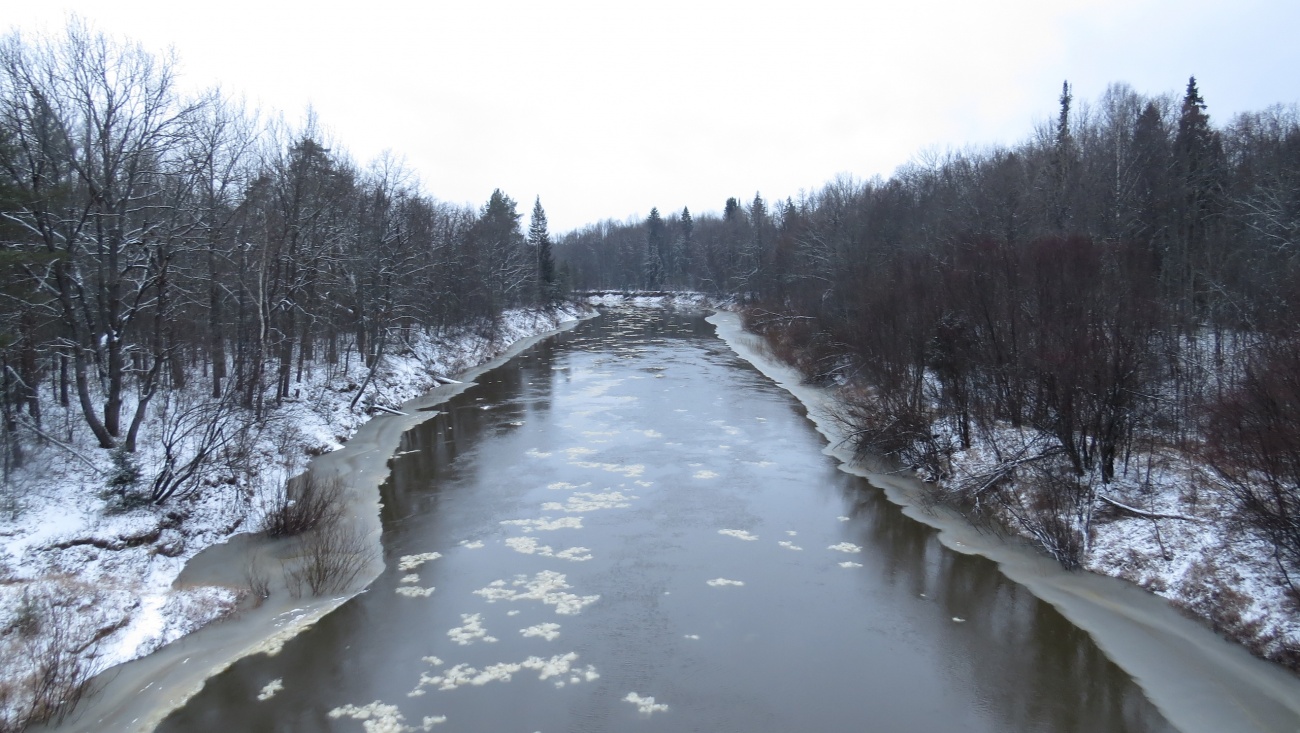 На Большой Кокшаге в Марий Эл наблюдают снежуру