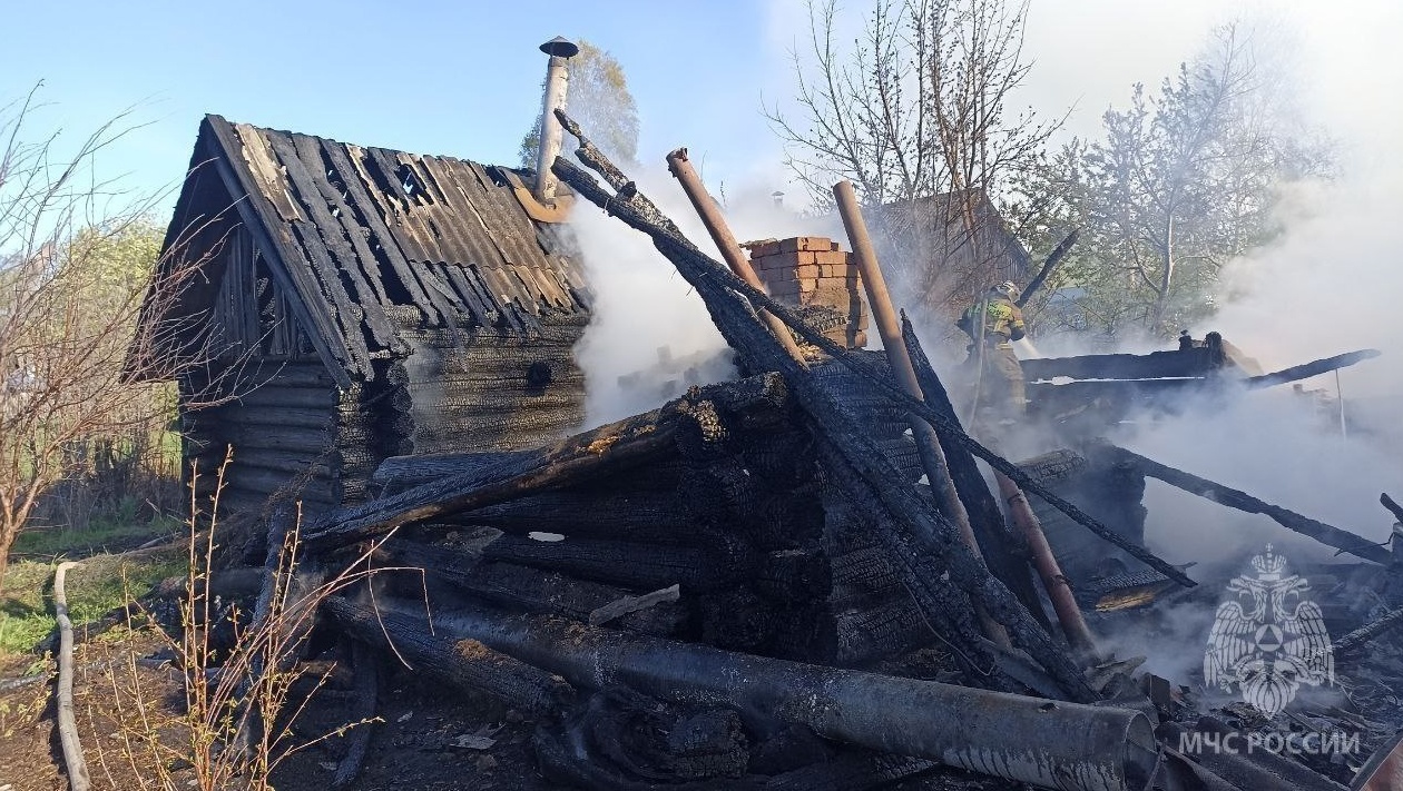 На неделе с мест пожаров в Марий Эл спасли двух человек