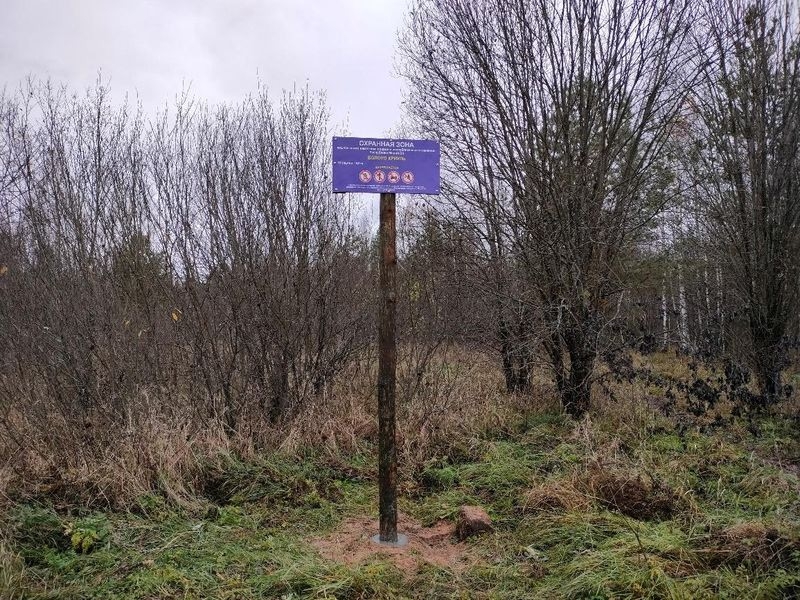 В Марий Эл обозначили охранные зоны 10 болот