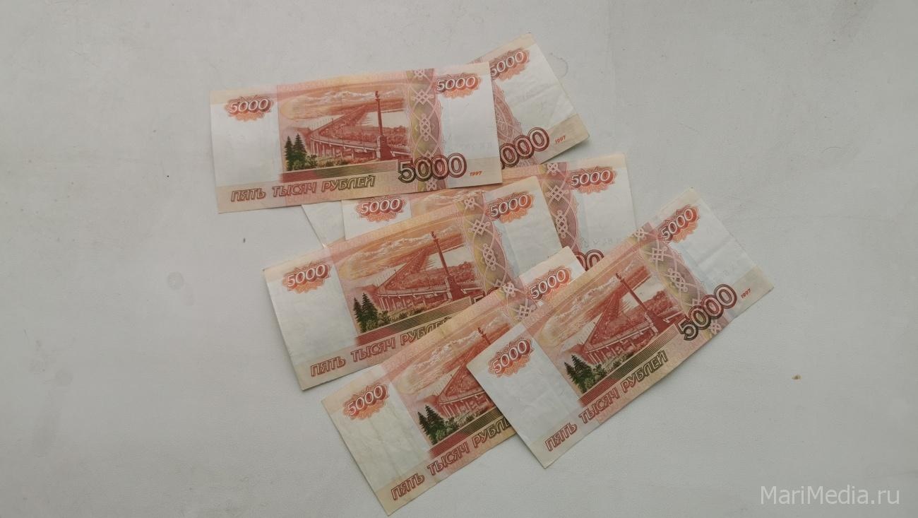 В Марий Эл выплаты на третьего ребёнка получили почти 4,5 тысячи семей