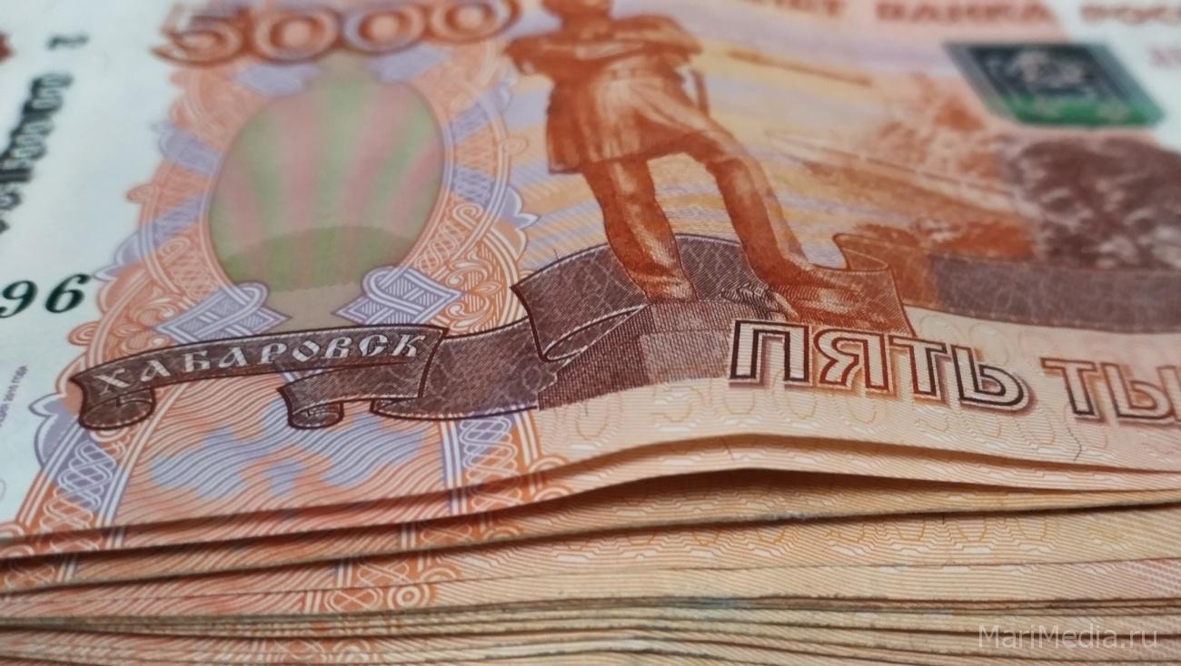 В Марий Эл на улучшение первичной медико-санитарной помощи выделено 25 млн рублей