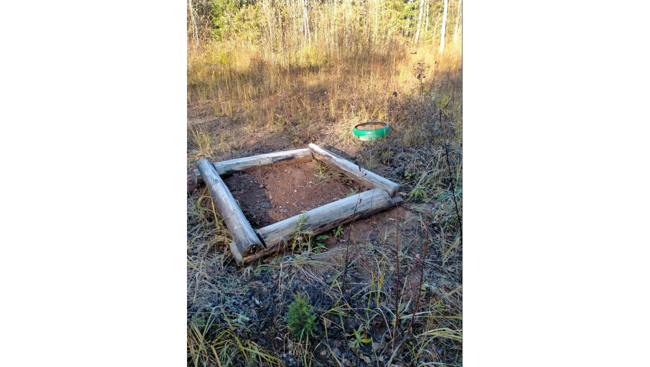 Госинспекторы проверяют галечники, порхалища и солонцы в Марий Эл
