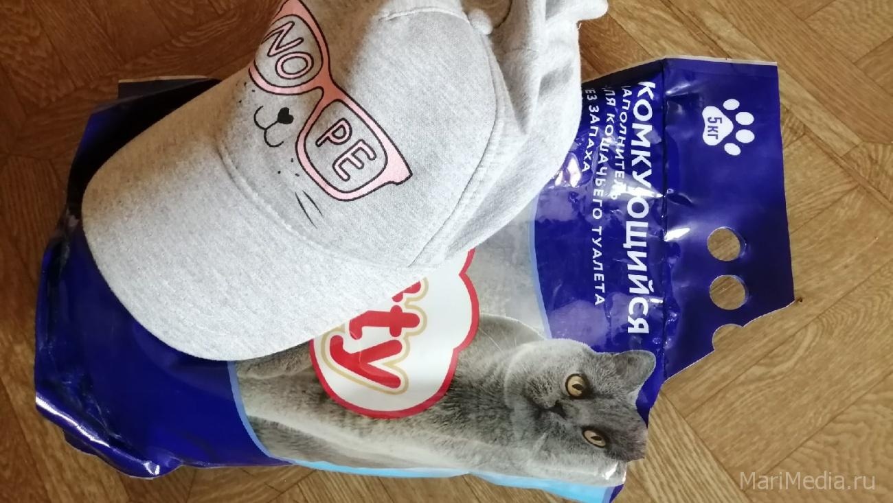 Житель Звенигово вместо авторегистратора получил кошачий наполнитель