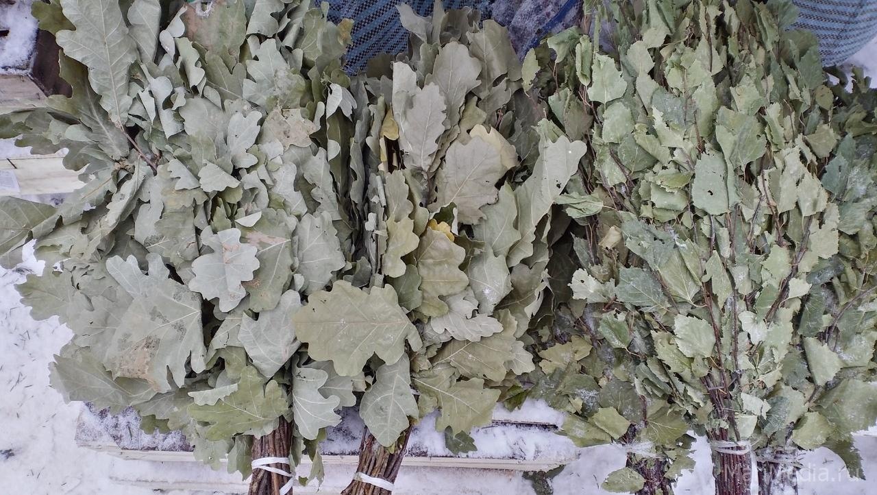 Муниципальные бани Йошкар-Олы закроются за 4 часа до Нового года