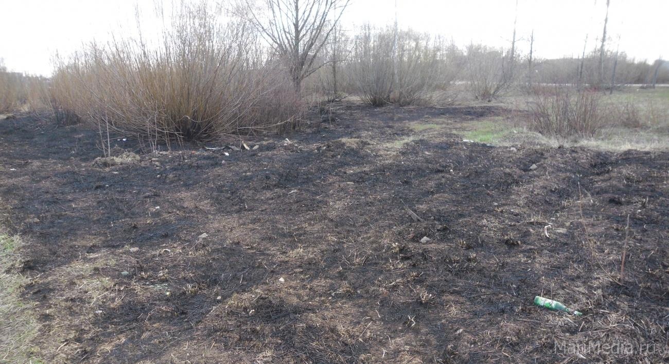 В Марий Эл устанавливается ущерб от пала сухой травы