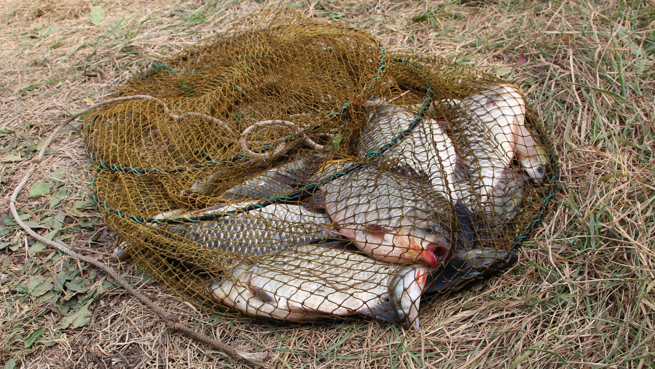 В УФСИН Марий Эл прошло летнее региональное Первенство по рыболовному спорту