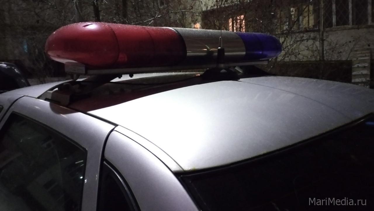 Сотрудники ДПС следят за режимом самоизоляции в Марий Эл