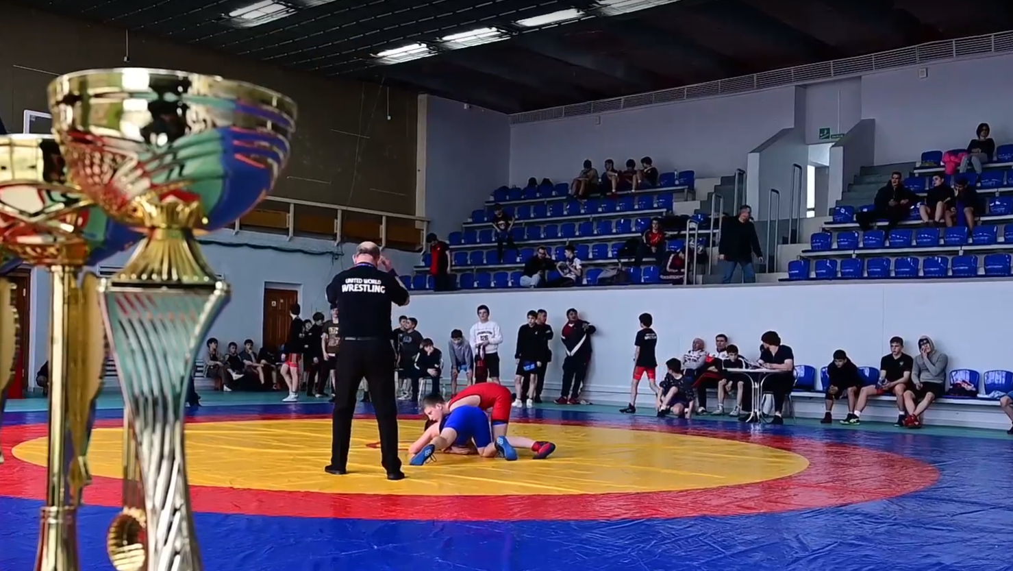 В Йошкар-Оле собрались более 80 борцов из четырёх регионов