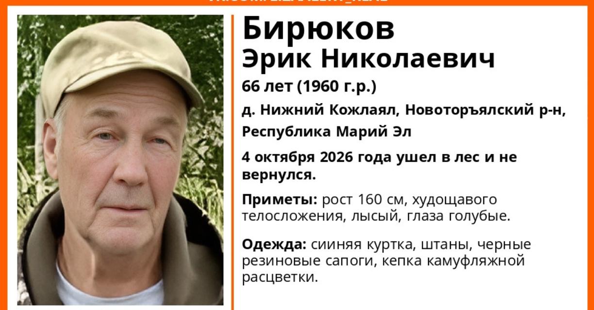 Житель Новоторъяльского округа ушёл за ягодами и не вышел из леса