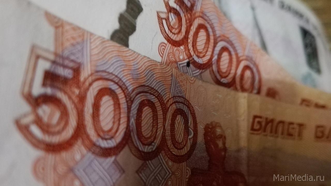Марий Эл получит 23,2 млн рублей на поддержку малого и среднего бизнеса