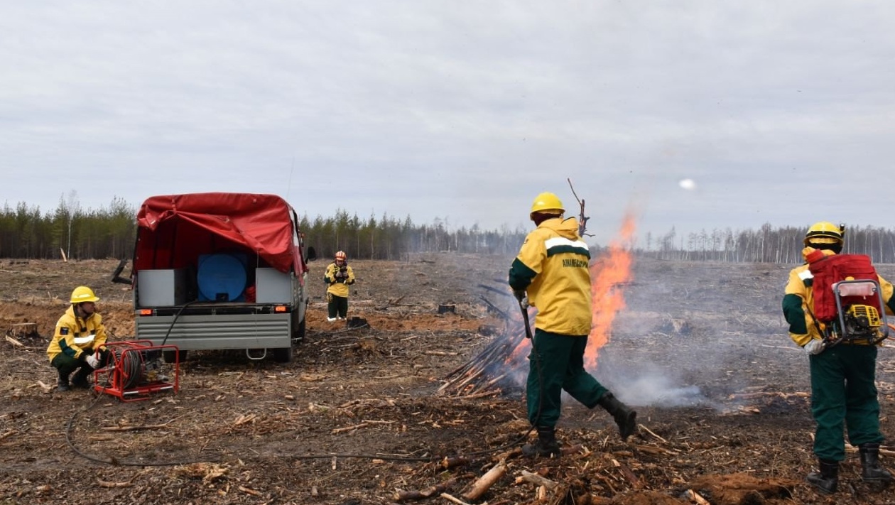 Республику Марий Эл признали готовой к пожароопасному сезону