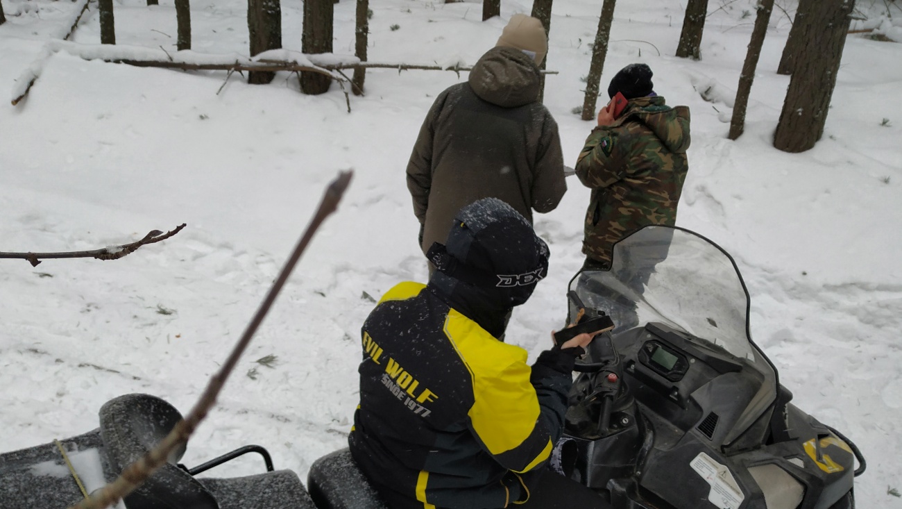 В парке «Марий Чодра» сегодня обнаружили шесть нарушителей